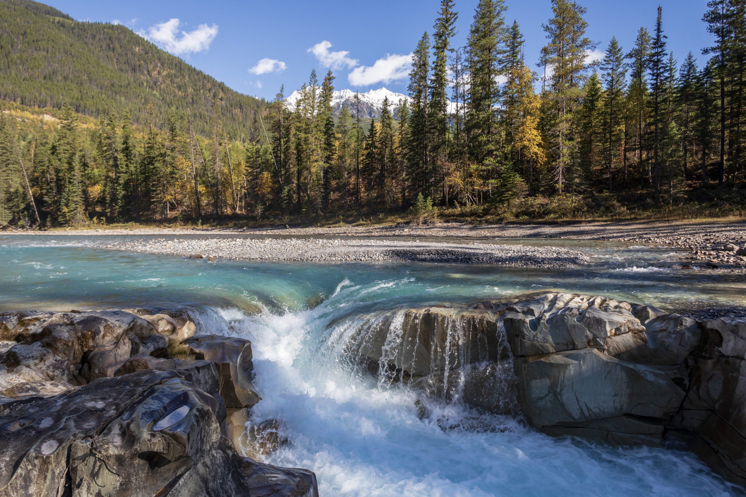 Blaeberry Valley | Tour The Triangle | Tourism Golden