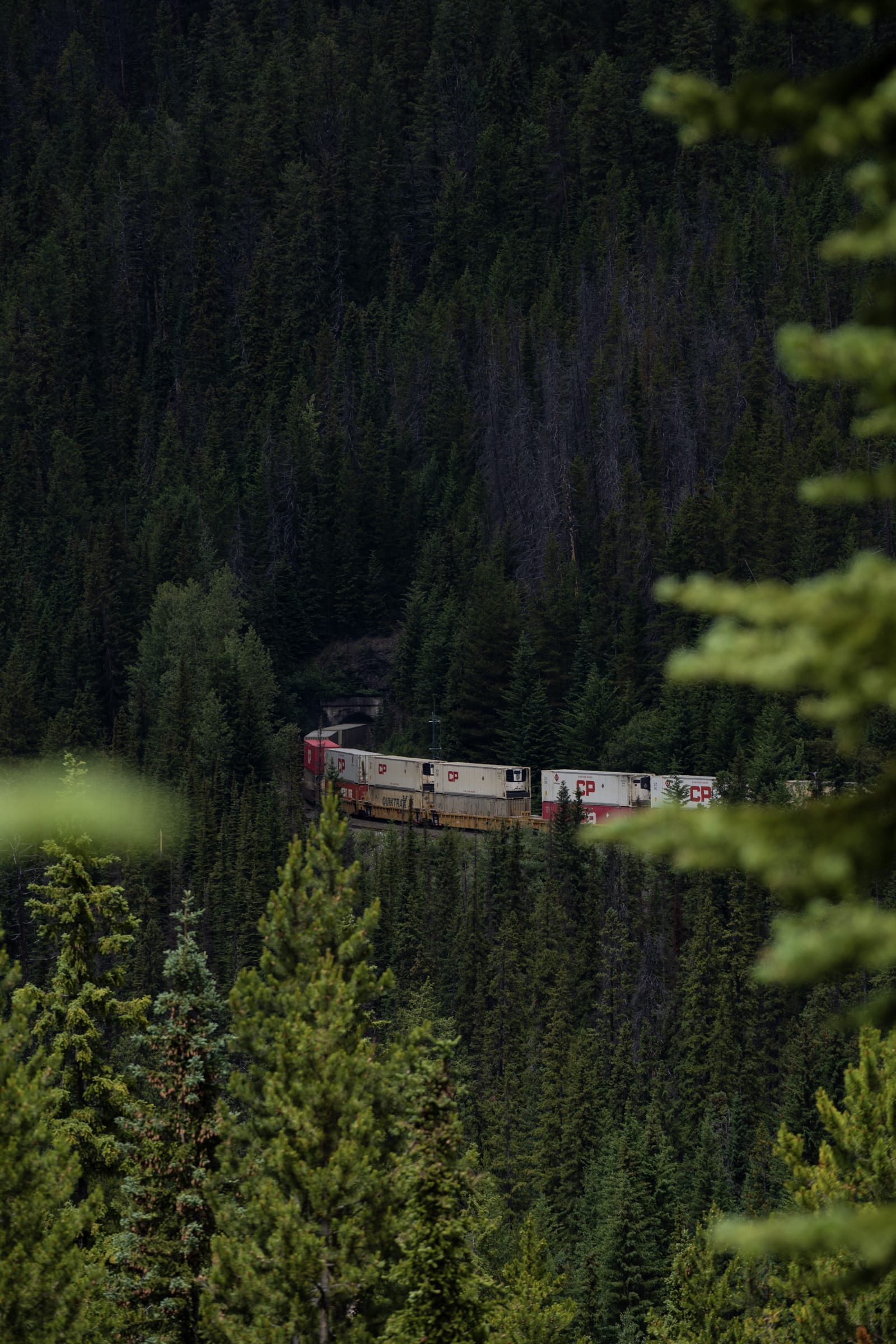 Spiral Tunnels Historic Site Tour The Triangle Parks Canada